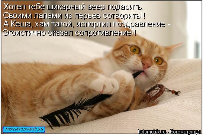 Хотел тебе шикарный веер подарить, Своими лапами из перьев сотворить!! А Кеша, хам такой, испортил по... Котоматрица: Хотел тебе шикарный веер подарить, Своими лапами из перьев сотворить!! А Кеша, хам такой, испортил поздравление - Эгоистично оказал сопротив