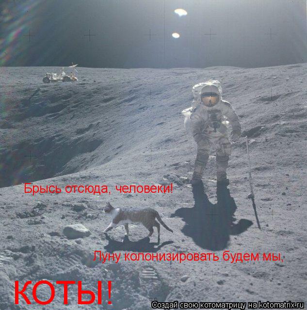 Брысь отсюда, человеки! Луну колонизировать будем мы, КОТЫ!... Котоматрица: Брысь отсюда, человеки! Луну колонизировать будем мы, КОТЫ!