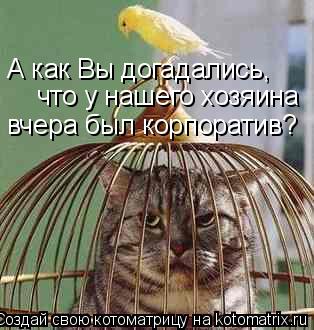 А как Вы догадались, что у нашего хозяина вчера был корпоратив?... Котоматрица: А как Вы догадались, что у нашего хозяина вчера был корпоратив?