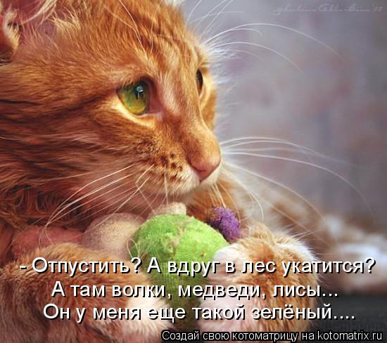 А там волки, медведи, лисы... - Отпустить? А вдруг в лес укатится? Он у меня еще такой зелёный....... Котоматрица: А там волки, медведи, лисы... - Отпустить? А вдруг в лес укатится? Он у меня еще такой зелёный....
