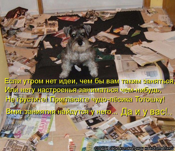 http://kotomatrix.ru/images/lolz/2010/12/10/761872.jpg
