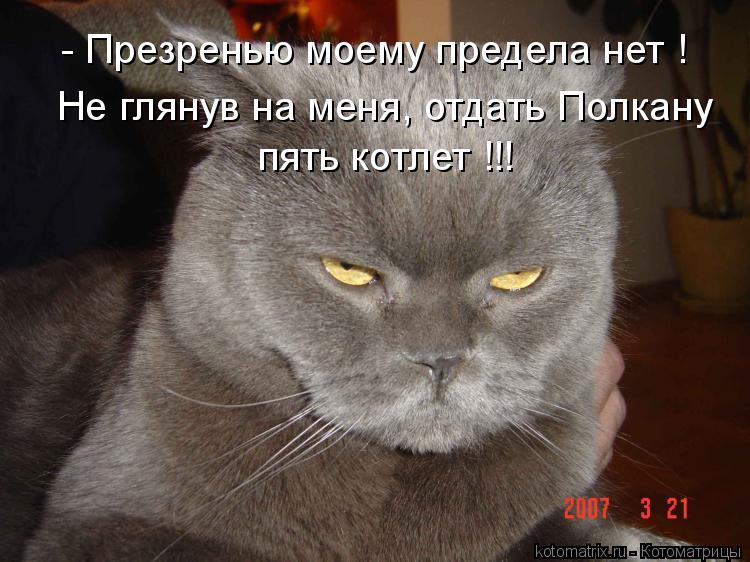 пять котлет !!! - Презренью моему предела нет ! Не глянув на меня, отдать Полкану... Котоматрица: пять котлет !!! - Презренью моему предела нет ! Не глянув на меня, отдать Полкану