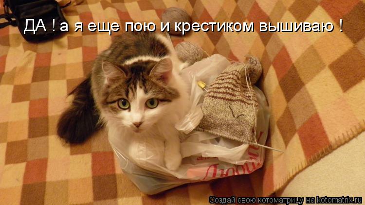 ДА ! а я еще пою и крестиком вышиваю !... Котоматрица: ДА ! а я еще пою и крестиком вышиваю !