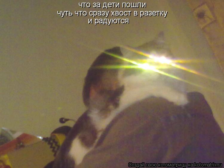 что за дети пошли чуть что сразу хвост в разетку и радуются... Котоматрица: что за дети пошли чуть что сразу хвост в разетку и радуются