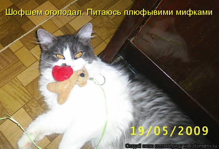 Шофшем оголодал. Питаюсь плюфывими мифками... Котоматрица: Шофшем оголодал. Питаюсь плюфывими мифками