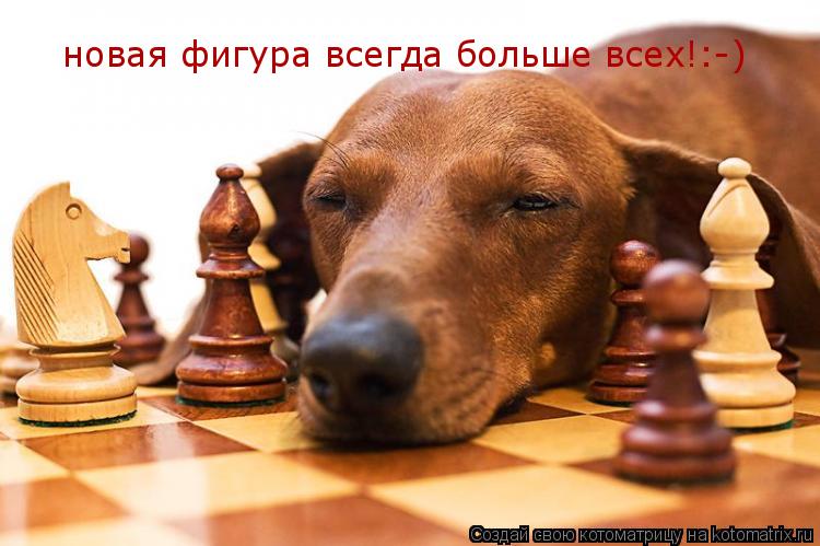новая фигура всегда больше всех!:-)... Котоматрица: новая фигура всегда больше всех!:-)