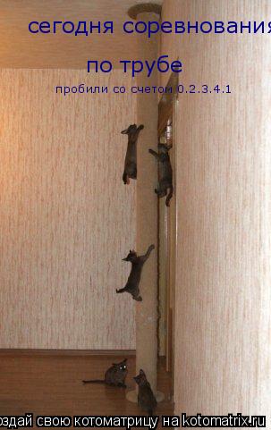 сегодня соревнования по трубе пробили со счетом 0.2.3.4.1... Котоматрица: сегодня соревнования по трубе пробили со счетом 0.2.3.4.1