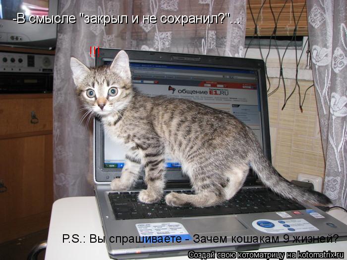 -В смысле "закрыл и не сохранил?"... !!! P.S.: Вы спрашиваете - Зачем кошакам 9 жизней?... Котоматрица: -В смысле "закрыл и не сохранил?"... !!! P.S.: Вы спрашиваете - Зачем кошакам 9 жизней?