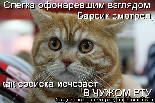 Слегка офонаревшим взглядом Барсик смотрел, как сосиска исчезает В ЧУЖОМ РТУ... Котоматрица: Слегка офонаревшим взглядом Барсик смотрел, как сосиска исчезает В ЧУЖОМ РТУ