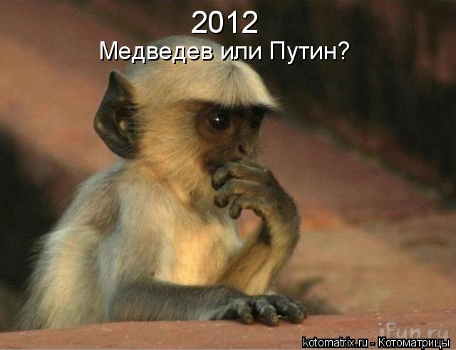 2012 Медведев или Путин?... Котоматрица: 2012 Медведев или Путин?