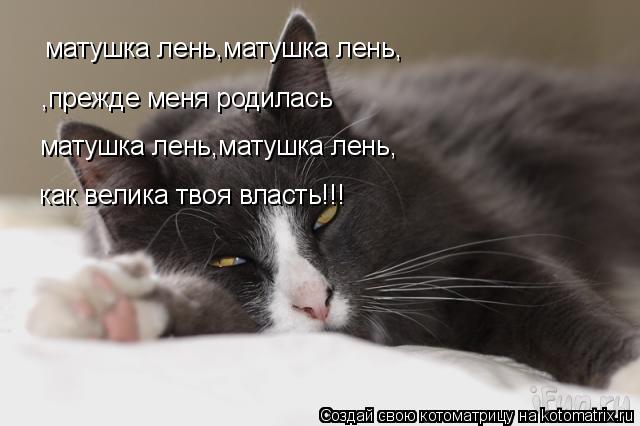 Котоматрица: матушка лень,матушка лень, ,прежде меня родилась матушка лень,матушка лень, как велика твоя власть!!!