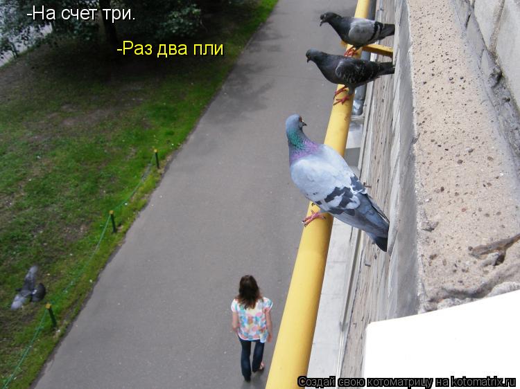 Котоматрица: -На счет три.  -Раз два пли