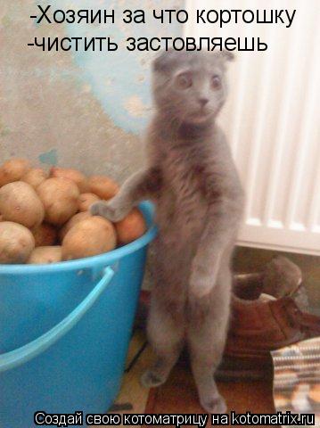-Хозяин за что кортошку -чистить застовляешь... Котоматрица: -Хозяин за что кортошку -чистить застовляешь