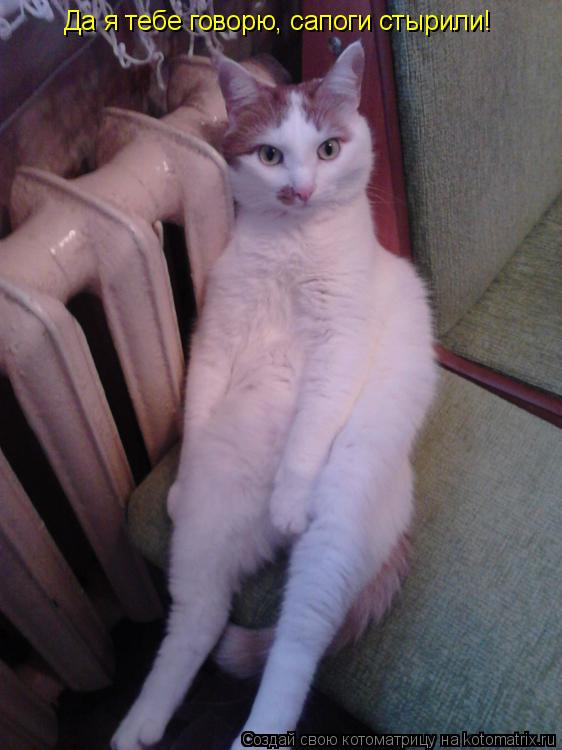 Котоматрица: Да я тебе говорю, сапоги стырили!