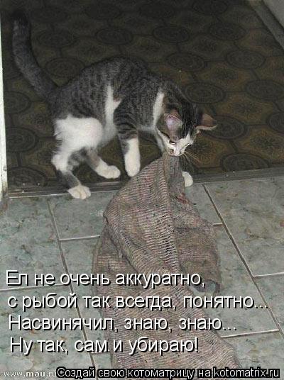 Ел не очень аккуратно, с рыбой так всегда, понятно... Насвинячил, знаю, знаю... Ну так, сам и убираю!... Котоматрица: Ел не очень аккуратно, с рыбой так всегда, понятно... Насвинячил, знаю, знаю... Ну так, сам и убираю!