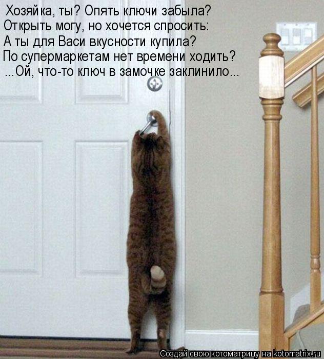 Котоматрица: Хозяйка, ты? Опять ключи забыла? А ты для Васи вкусности купила? Открыть могу, но хочется спросить: По супермаркетам нет времени ходить? ...Ой, 