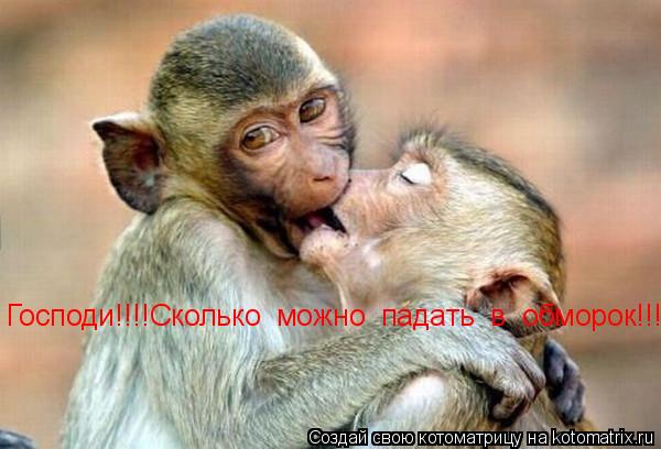 Господи!!!!Сколько можно падать в обморок!!!... Котоматрица: Господи!!!!Сколько можно падать в обморок!!!