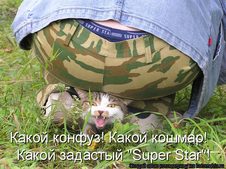 Котоматрица: Какой конфуз! Какой кошмар!  Какой задастый "Super Star"!