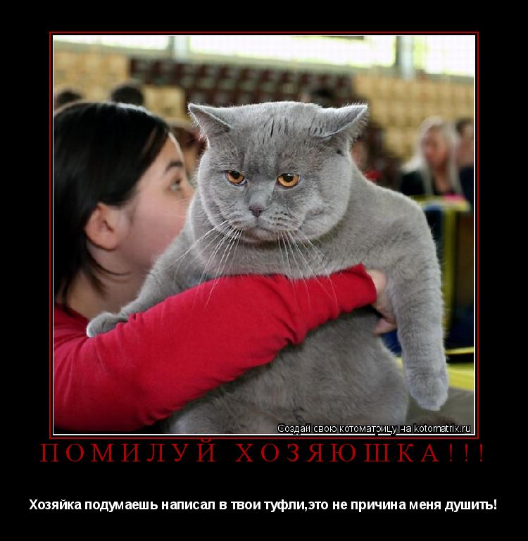 ПОМИЛУЙ ХОЗЯЮШКА!!! Хозяйка подумаешь написал в твои туфли,это не причина меня душить!... Котоматрица: ПОМИЛУЙ ХОЗЯЮШКА!!! Хозяйка подумаешь написал в твои туфли,это не причина меня душить!