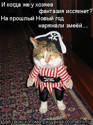 И когда же у хозяев фантазия иссякнет? На прошлый Новый год наряжали змеёй....... Котоматрица: И когда же у хозяев фантазия иссякнет? На прошлый Новый год наряжали змеёй....