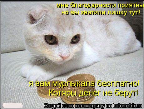 мне благодарности приятны но вы хватили лишку тут! я вам мурлыкала бесплатно! Котяры денег не берут!... Котоматрица: мне благодарности приятны но вы хватили лишку тут! я вам мурлыкала бесплатно! Котяры денег не берут!