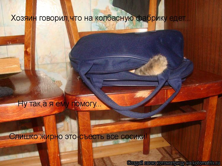 Хозяин говорил,что на колбасную фабрику едет... Ну так,а я ему помогу... Слишко жирно это-съесть все ... Котоматрица: Хозяин говорил,что на колбасную фабрику едет... Ну так,а я ему помогу... Слишко жирно это-съесть все сосики!