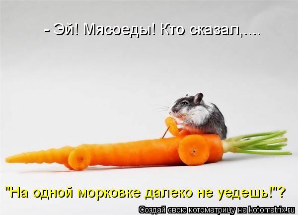- Эй! Мясоеды! Кто сказал,.... "На одной морковке далеко не уедешь!"?... Котоматрица: - Эй! Мясоеды! Кто сказал,.... "На одной морковке далеко не уедешь!"?