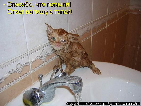 - Спасибо, что помыли! Ответ напишу в тапок!... Котоматрица: - Спасибо, что помыли! Ответ напишу в тапок!