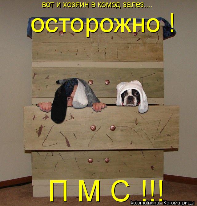 вот и хозяин в комод залез.... осторожно ! П М С !!!... Котоматрица: вот и хозяин в комод залез.... осторожно ! П М С !!!