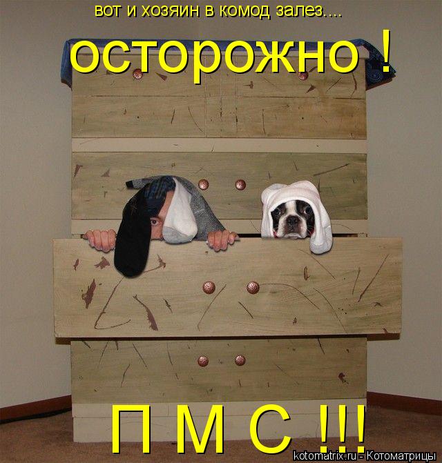 Котоматрица: вот и хозяин в комод залез.... осторожно !  П М С !!!