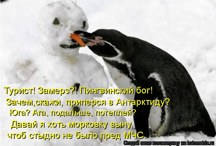 Турист! Замерз?! Пингвинский бог! Зачем,скажи, приперся в Антарктиду? Юга? Ага, подальше, потеплей?... Котоматрица: Турист! Замерз?! Пингвинский бог! Зачем,скажи, приперся в Антарктиду? Юга? Ага, подальше, потеплей? Давай я хоть морковку выну, чтоб стыдно н