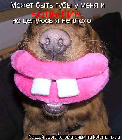 Может быть губы у меня и БОЛЬШИЕ, но целуюсь я неплохо... Котоматрица: Может быть губы у меня и БОЛЬШИЕ, но целуюсь я неплохо