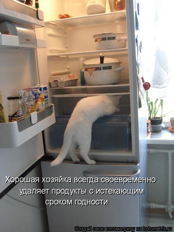 удаляет продукты с истекающим сроком годности Хорошая хозяйка всегда своевременно... Котоматрица: удаляет продукты с истекающим сроком годности Хорошая хозяйка всегда своевременно