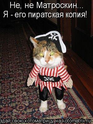 Котоматрица: Не, не Матроскин... Я - его пиратская копия!