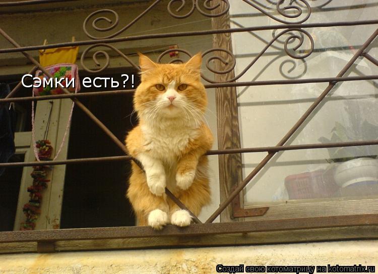 Котоматрица: Сэмки есть?!