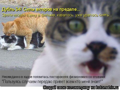 Эротическую сцену в фильме, казалось, уже удалось снять... Дубль 34! Силы актеров на пределе... "Поль... Котоматрица: Эротическую сцену в фильме, казалось, уже удалось снять... Дубль 34! Силы актеров на пределе... "Пользуясь случаем передаю привет всем кто меня