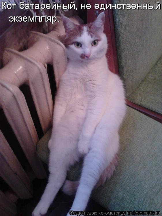 Кот батарейный, не единственный экземпляр.... Котоматрица: Кот батарейный, не единственный экземпляр.