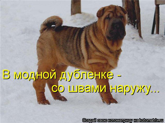 В модной дубленке - со швами наружу...... Котоматрица: В модной дубленке - со швами наружу...