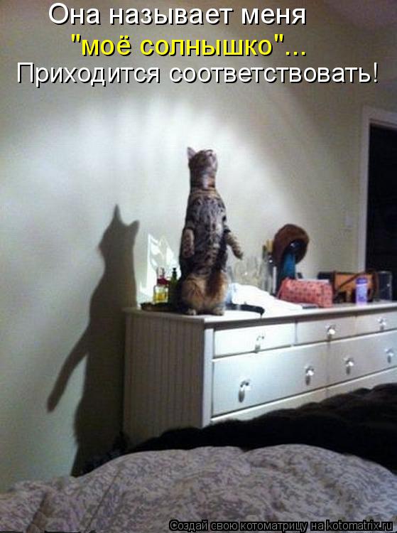 Она называет меня "моё солнышко"... Приходится соответствовать!... Котоматрица: Она называет меня "моё солнышко"... Приходится соответствовать!