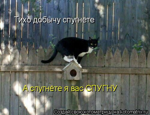 Котоматрица: Тихо добычу спугнёте Тихо добычу спугнёте А спугнёте я вас СПУГНУ