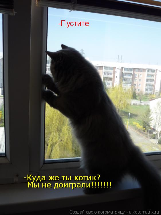 Котоматрица: -Пустите -Куда же ты котик? Мы не доиграли!!!!!!!