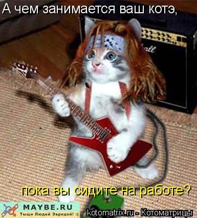А чем занимается ваш котэ, пока вы сидите на работе?... Котоматрица: А чем занимается ваш котэ, пока вы сидите на работе?