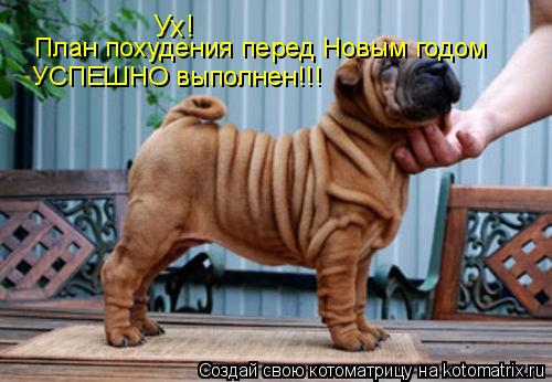 Ух! План похудения перед Новым годом УСПЕШНО выполнен!!!... Котоматрица: Ух! План похудения перед Новым годом УСПЕШНО выполнен!!!