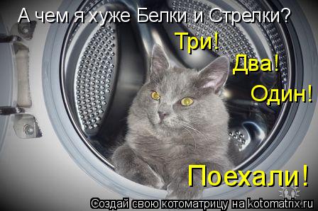 А чем я хуже Белки и Стрелки? Три! Два! Один! Поехали!... Котоматрица: А чем я хуже Белки и Стрелки? Три! Два! Один! Поехали!
