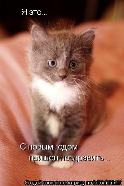 Я это... С новым годом пришел поздравить...... Котоматрица: Я это... С новым годом пришел поздравить...