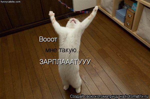 Вооот мне такую... ЗАРПЛАААТУУУ... Котоматрица: Вооот мне такую... ЗАРПЛАААТУУУ