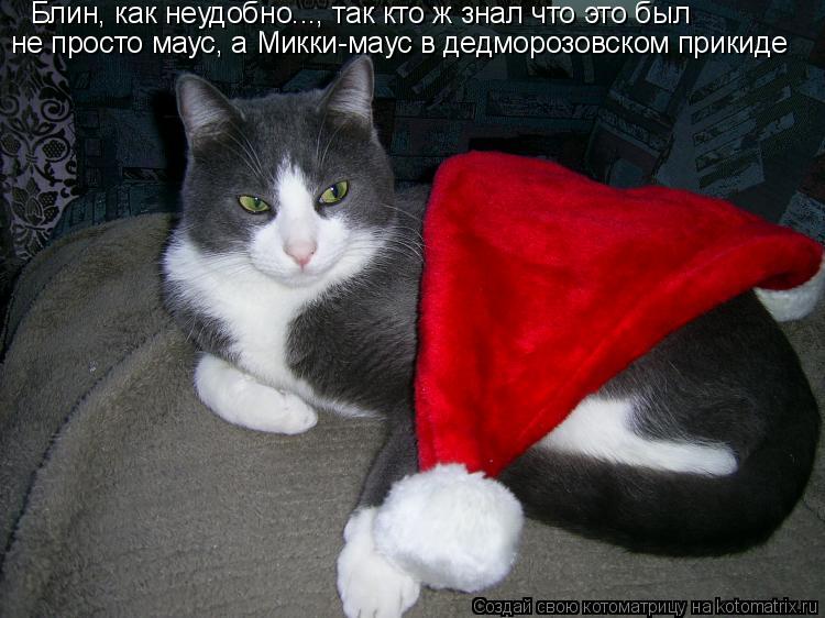 не просто маус, а Микки-маус в дедморозовском прикиде Блин, как неудобно..., так кто ж знал что это б... Котоматрица: не просто маус, а Микки-маус в дедморозовском прикиде Блин, как неудобно..., так кто ж знал что это был
