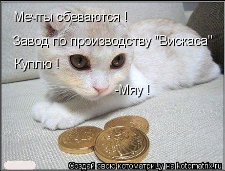 Что это за штучки ?! Может забрать ? Мечты сбеваются ! Завод по производству "Вискаса" Куплю ! -Мяу !... Котоматрица: Что это за штучки ?! Может забрать ? Мечты сбеваются ! Завод по производству "Вискаса" Куплю ! -Мяу !