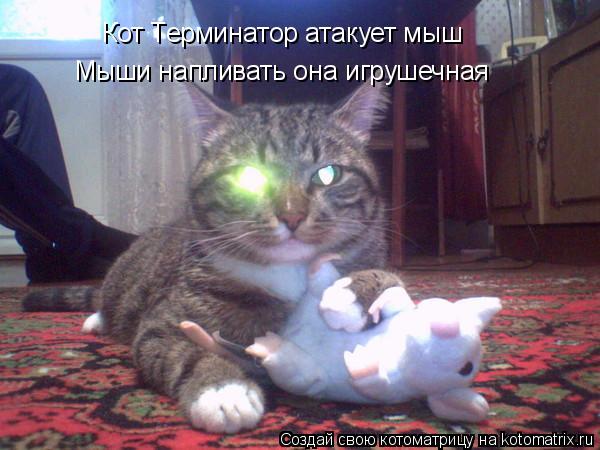 Котоматрица: Кот Терминатор атакует мыш Мыши напливать она игрушечная