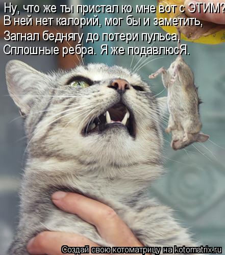 Ну, что же ты пристал ко мне вот с ЭТИМ? В ней нет калорий, мог бы и заметить, Загнал беднягу до поте... Котоматрица: Ну, что же ты пристал ко мне вот с ЭТИМ? В ней нет калорий, мог бы и заметить, Загнал беднягу до потери пульса, Сплошные ребра. Я же подавлюсЯ.